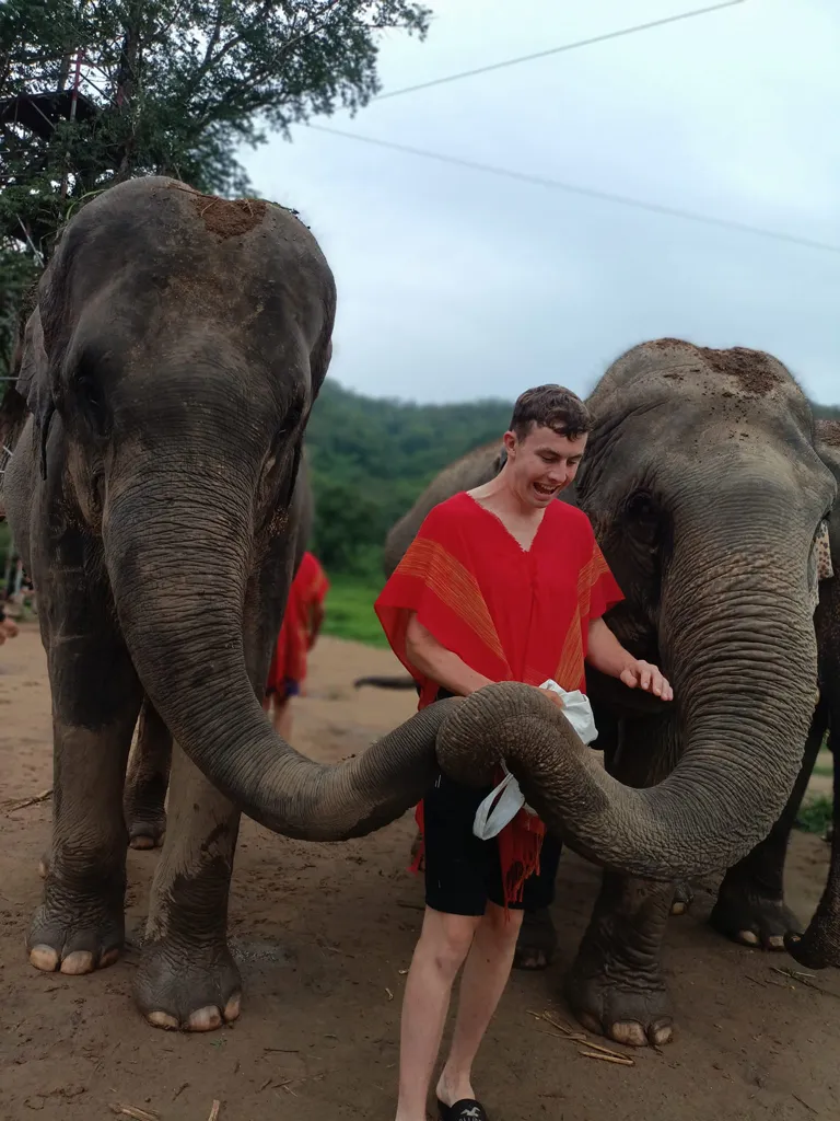 Amazing-Southeast-Asia-Loop-30-Days-Thailand-Elephant-Sanctuary-in-Chiang-Mai-9.webp