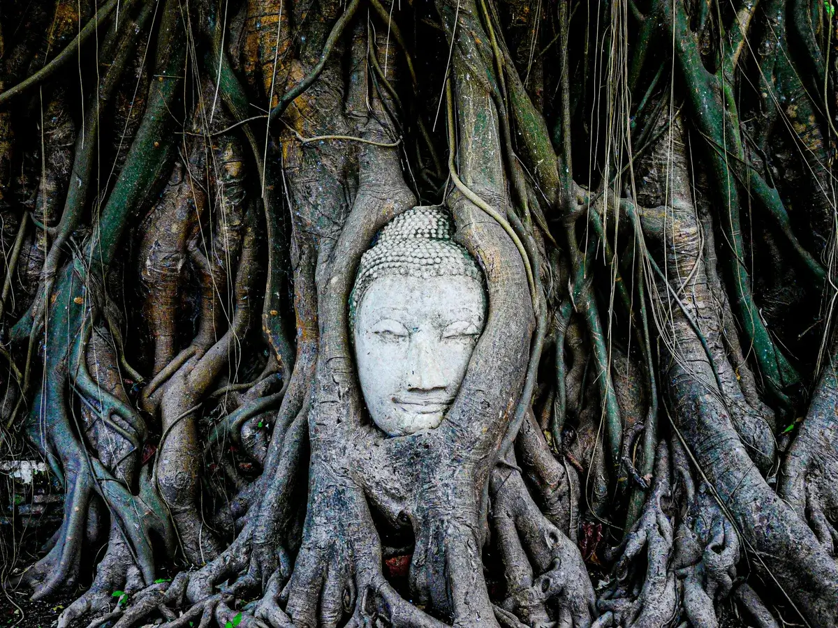 Unbox-Southeast-Asia-Heritage-28days-ayutthaya-thailand-3.webp
