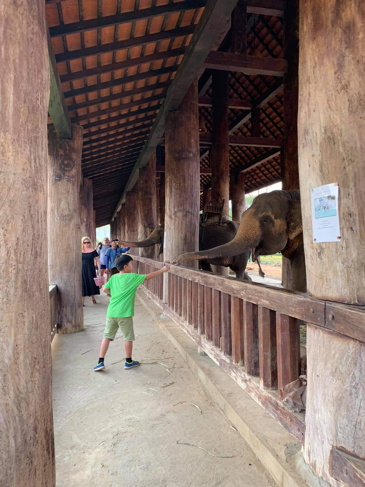 amazing-laos-trip-9-days-luang-prabang-elephant-experience-1.jpeg