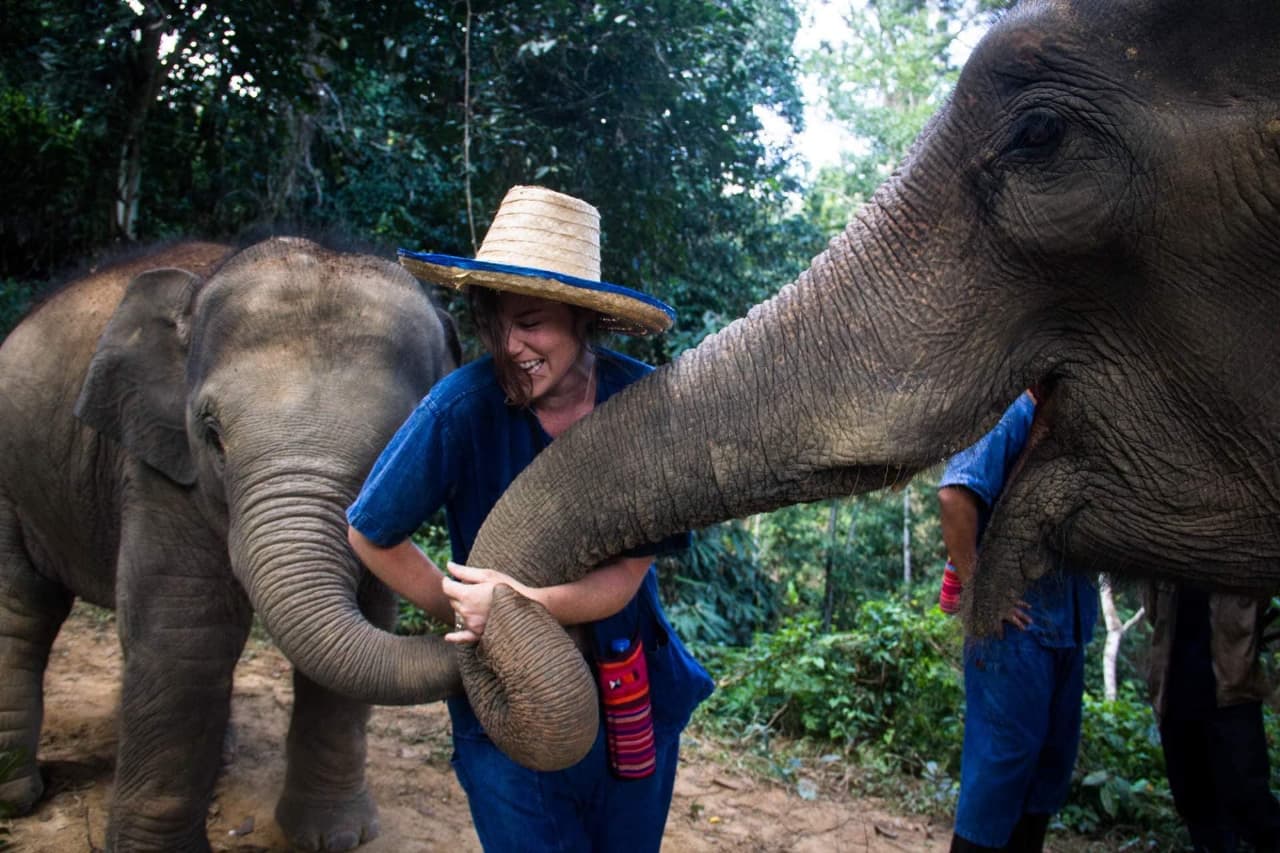 classic-thailand-trip-12-days-elephant-nature-park-chiang-mai-1.jpeg