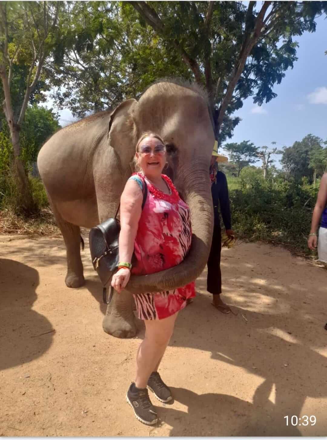 elephant-experience-chiang-mai-thailand-family-vacation-15-days.jpeg