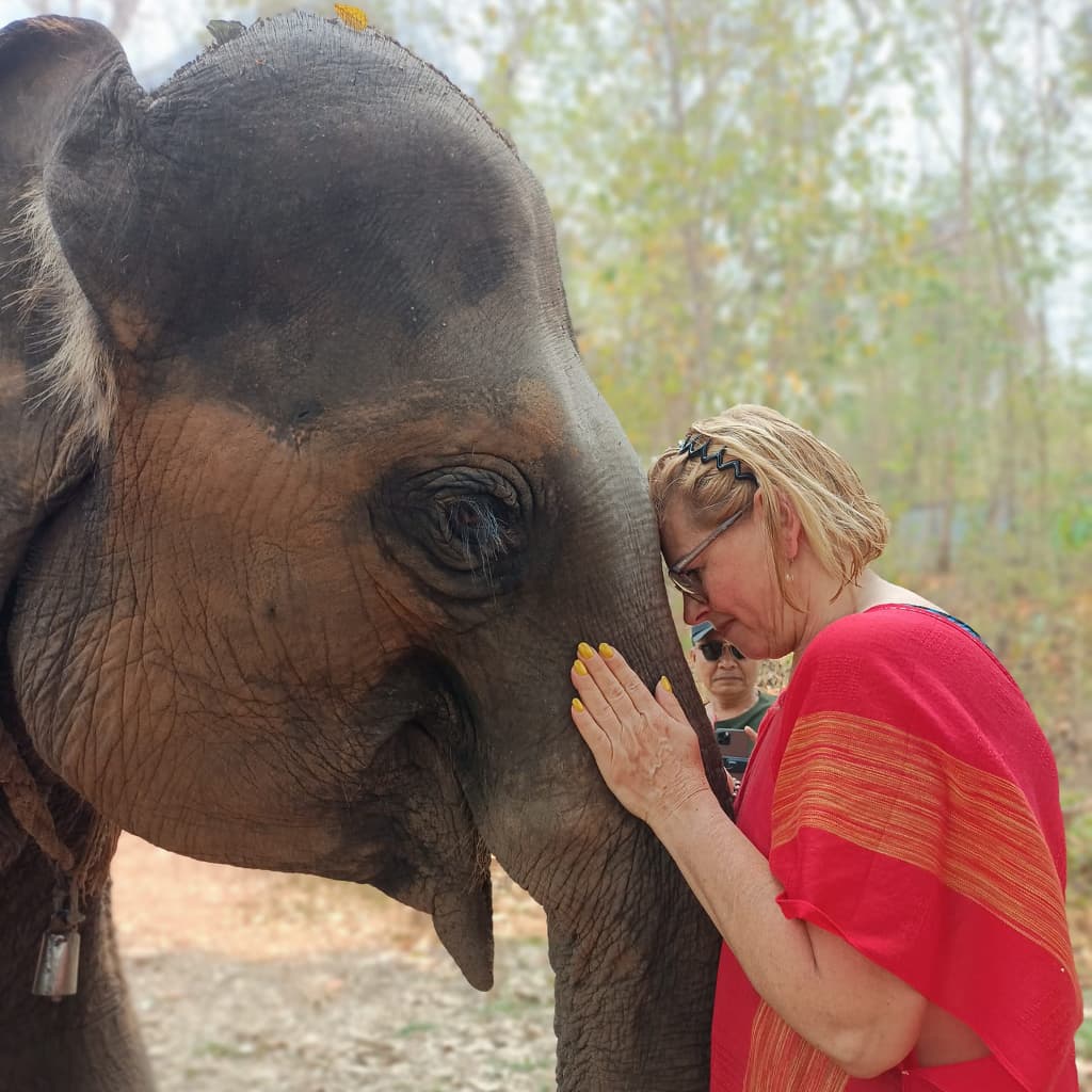 elephant-sanctuary-in-chiang-mai-23-jpeg