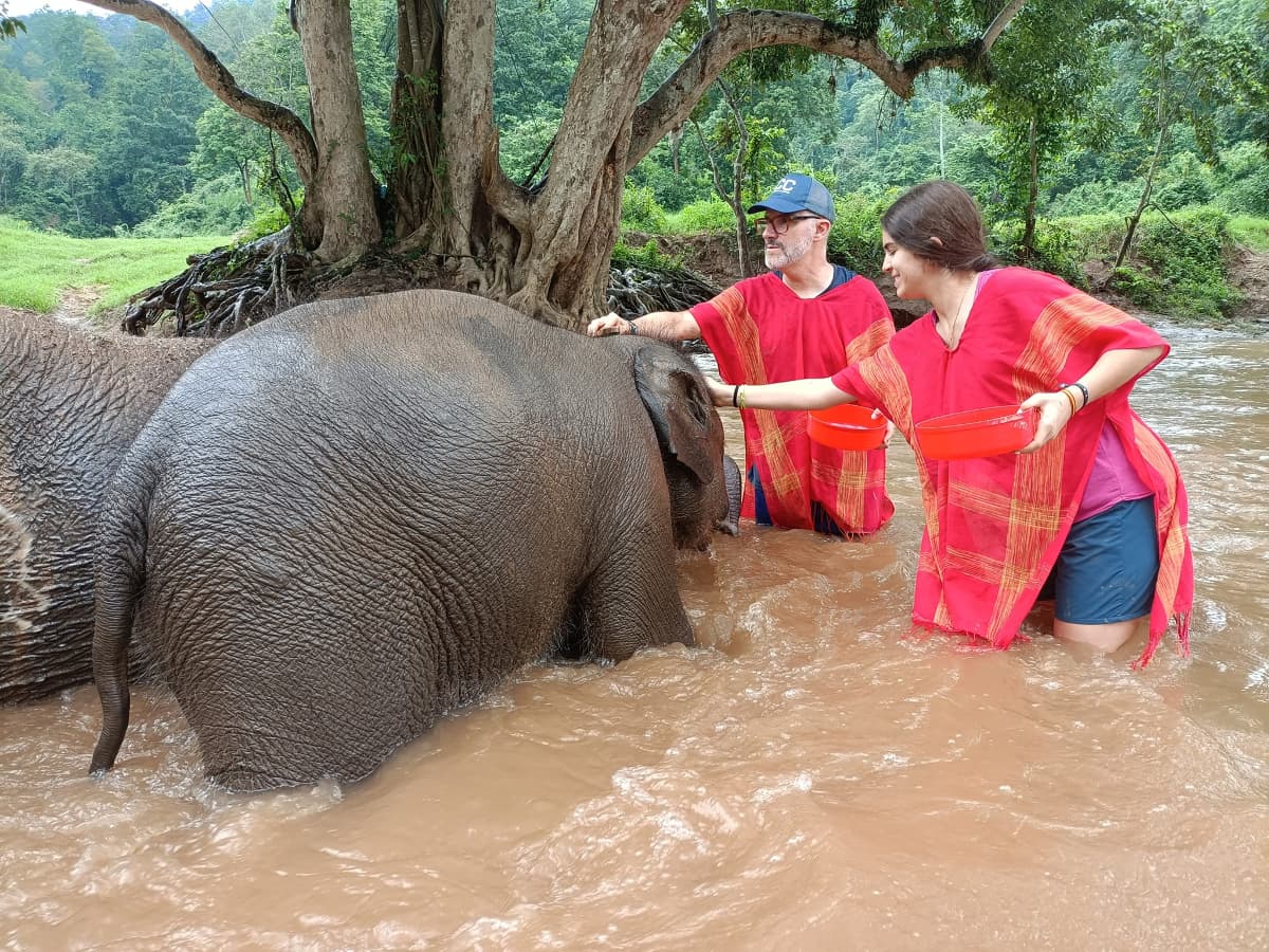 impressive-thailand-travel-15-days-elephant-sanctuary-in-chiang-mai-13.jpeg