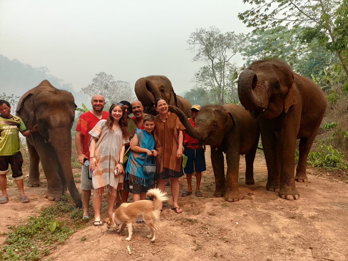impressive-thailand-travel-15-days-elephant-sanctuary-in-chiang-mai-21.jpeg