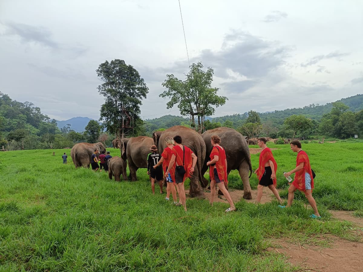 impressive-thailand-travel-15-days-elephant-sanctuary-in-chiang-mai-6.jpeg