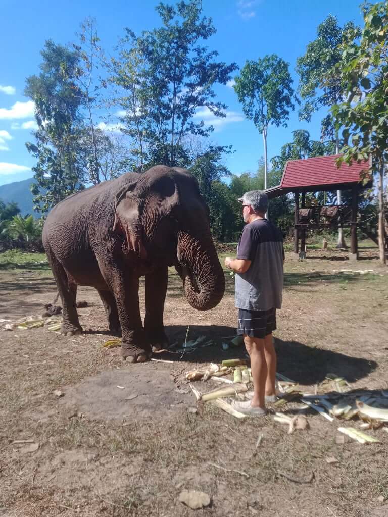 luxury-laos-holiday-7-days-luang-prabang-elephant-experience-2.jpeg