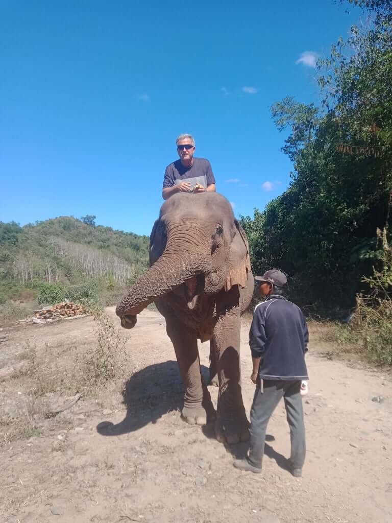 luxury-laos-holiday-7-days-luang-prabang-elephant-experience-3.jpeg