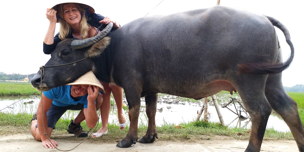 luxury-vacation-vietnam-cambodia-18-days-hoi-an-buffalo.jpeg