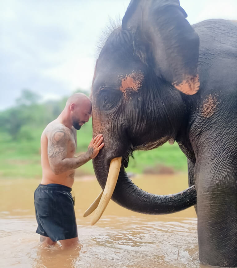 signature-indochina-tour-21-days-elephant-sanctuary-in-chiang-mai-2-jpeg