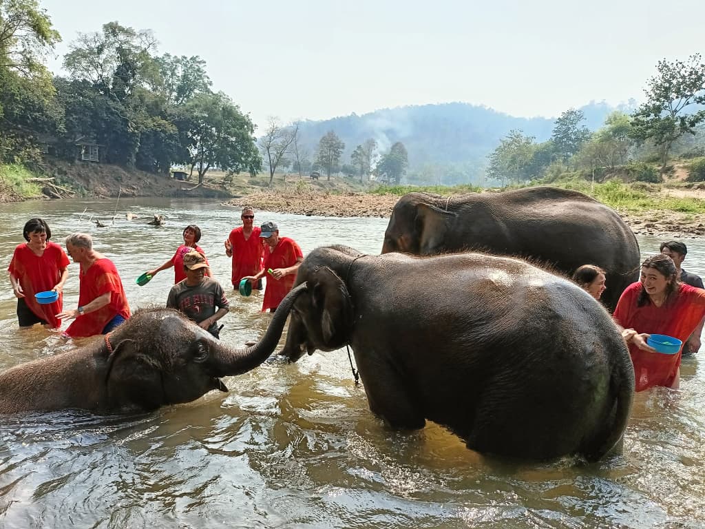 signature-indochina-tour-21-days-elephant-sanctuary-in-chiang-mai-28.jpeg