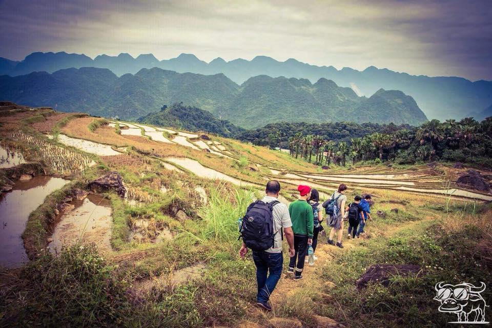 vietnam-daily-tours-mai-chau-trekking.jpeg